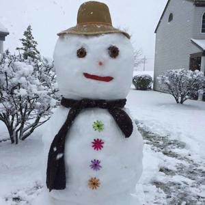 Meet your Posher, Geo wan